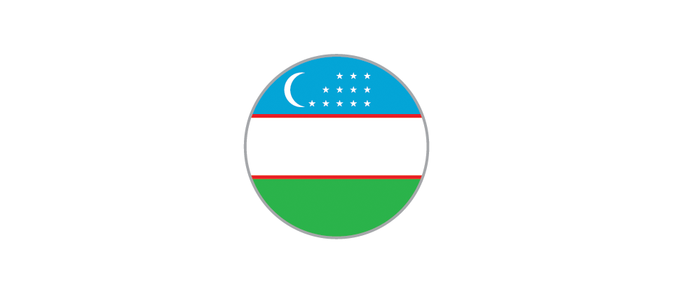 Uzbekistan Flag